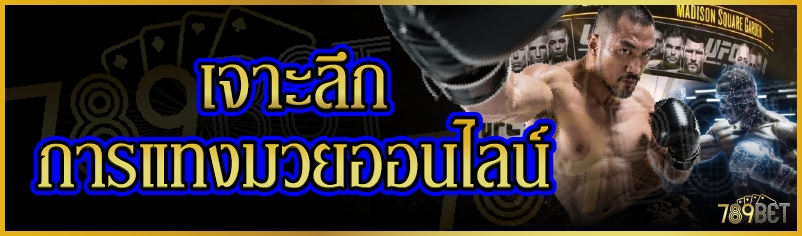 เจาะลึกการแทงมวยออนไลน์